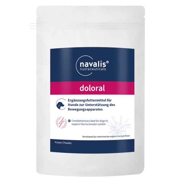 doloral dog Pulver