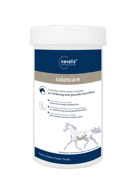 coloncare horse